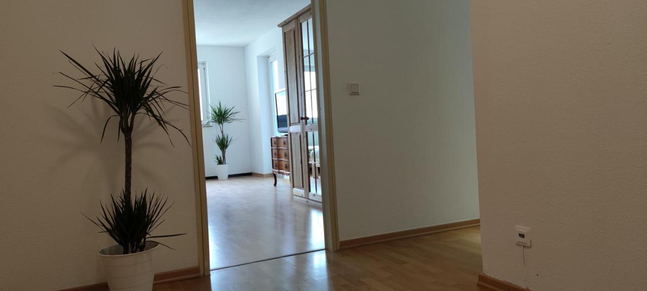 Skyline-Aussicht Und Fantastische Sonnenuntergaenge Apartment Langen  Exterior photo